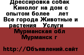 Дрессировка собак (Кинолог на дом с опытом более 10 лет) - Все города Животные и растения » Услуги   . Мурманская обл.,Мурманск г.